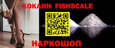 гидра Кудрово