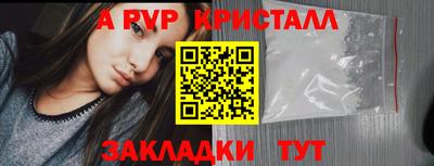 гидра Кудрово