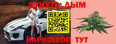 гидра Кудрово