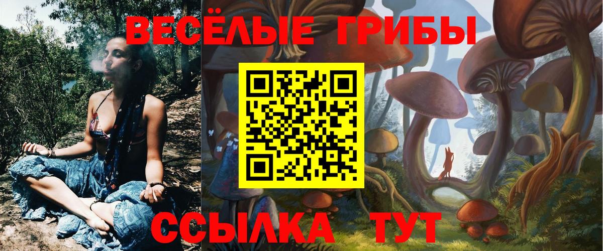 Грязи  Галлюциногенные грибы GOLDEN TEACHER  Псилоцибиновые грибы Psilocybe  Вход с VPN 